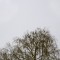 © Tina Remiz. Winter sky, Riga, 2011 © Tina Remiz. Winter sky, Riga, 2011