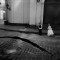 Roman Drits. From the series "Auftakt", 2006 Roman Drits. From the series "Auftakt", 2006