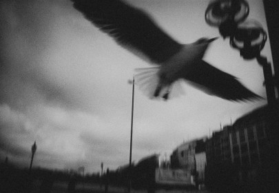 Roman Drits. From the series "Paradies", 2011