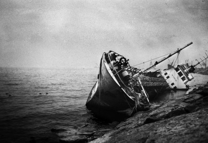 Yusuf Sevincli. From the series "Good Dog"