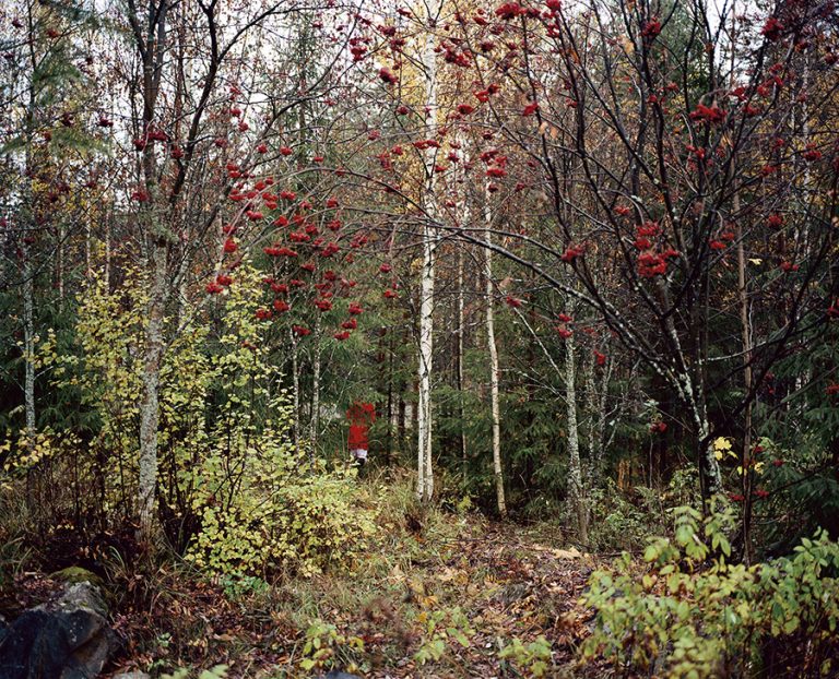 © Anni Leppälä. Autumn, 2007