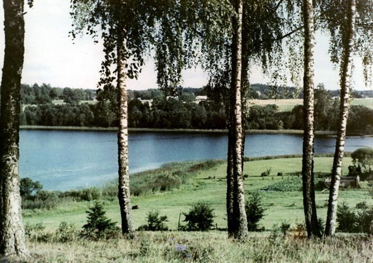 Dominiks Gedzjuns. A lake, late 1950-ies
